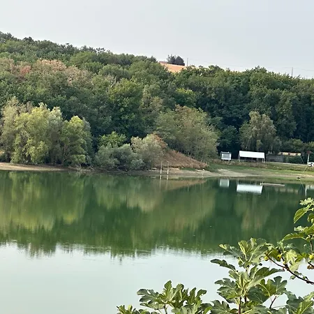 Domaine Du De * Montpitol