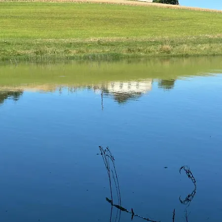 Domaine Du De Montpitol